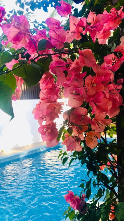 Villa North Coast Trou aux Biches Eksteriør billede